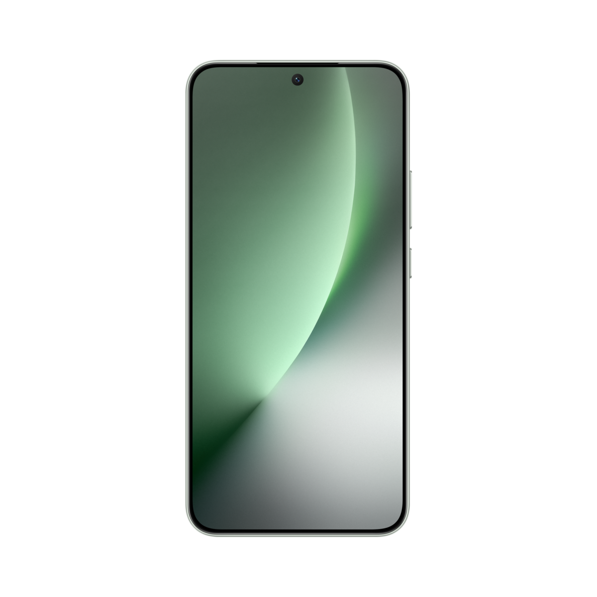 Martin Identity Pictures Forest Green 正面 HQ PNG RGB 202507211